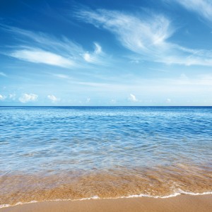 Credit card charge risk for Brits abroad