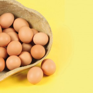Where to invest: Asset allocation tips for 2014