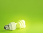 Halogen light bulbs to be banned from September