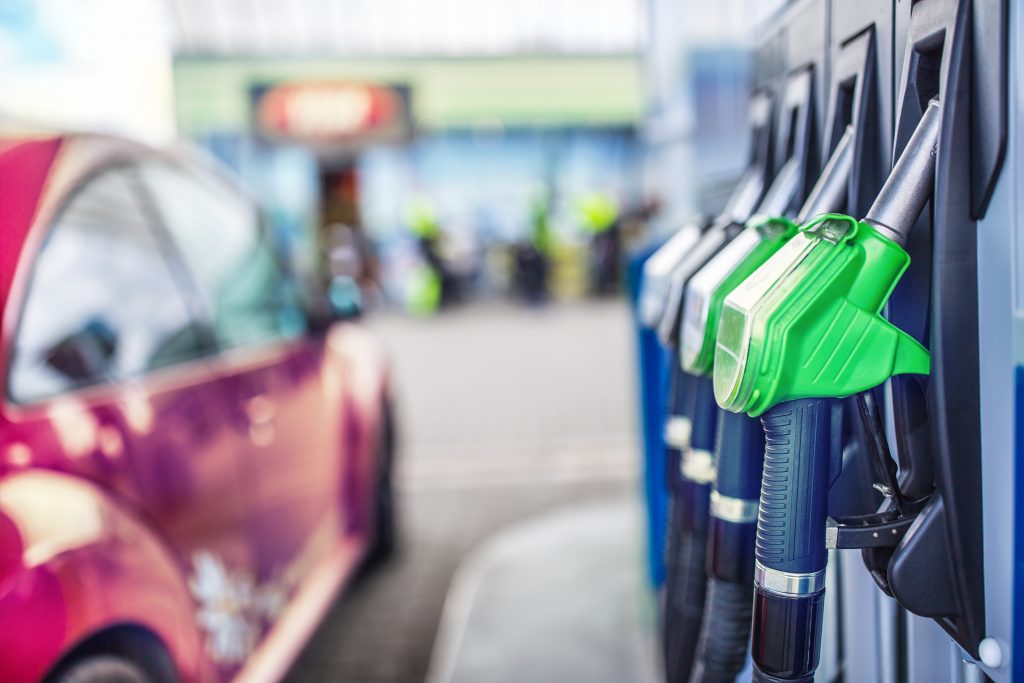 Govt-backed fuel price checker will launch 'by end of the year'
