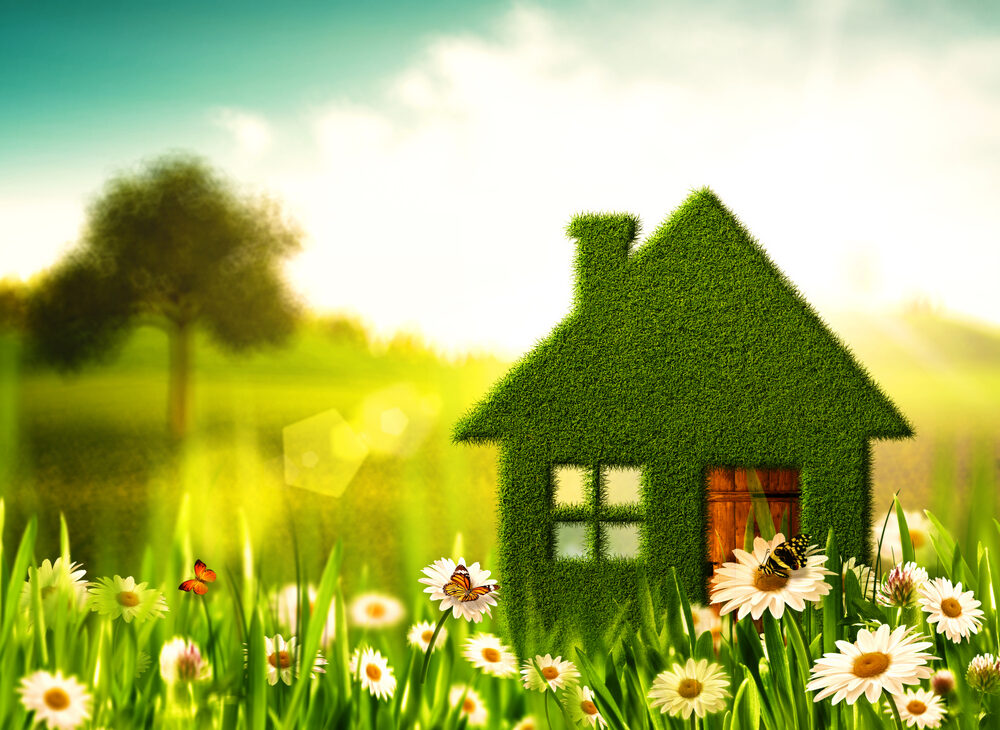 Are we all being ‘greenwashed’?