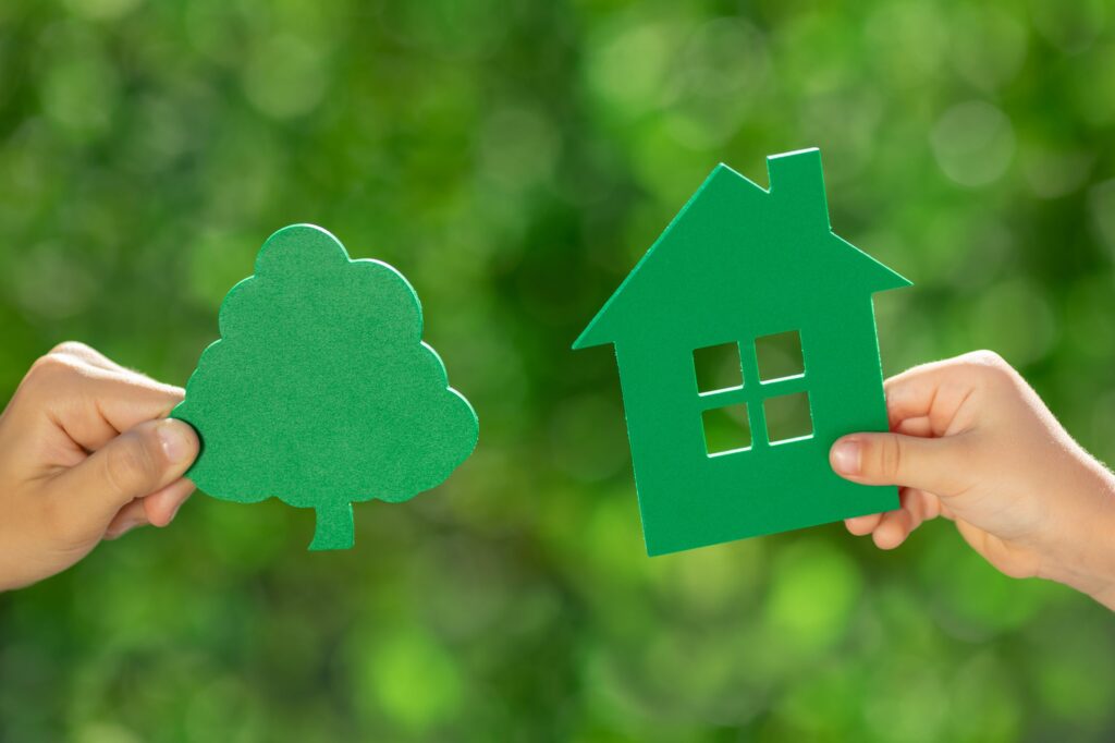 Experts call on Government to cut stamp duty for green homes