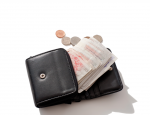 Brits’ overloaded wallets leave them vulnerable to fraud